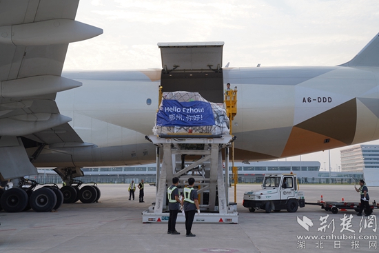 機(jī)務(wù)人員卸下貨物。金康 攝.jpeg