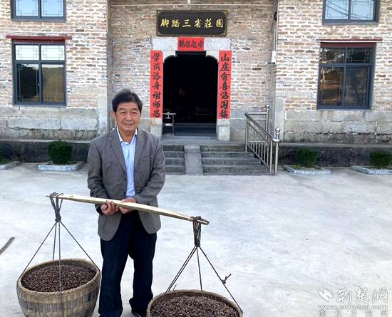 何道關(guān)與自己種的油茶果。黃錚 攝_副本.jpg.jpg